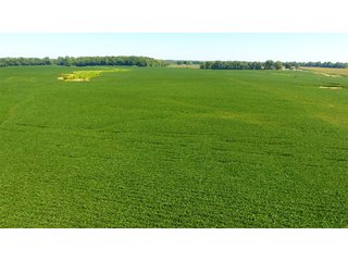 Property photo 13 - LAND AUCTION - 1,193+/- ACRES IN 14 TRACTS IN PIKE & GIBSON COUNTY, INDIANA